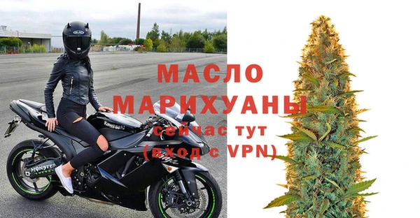 твердый Краснослободск