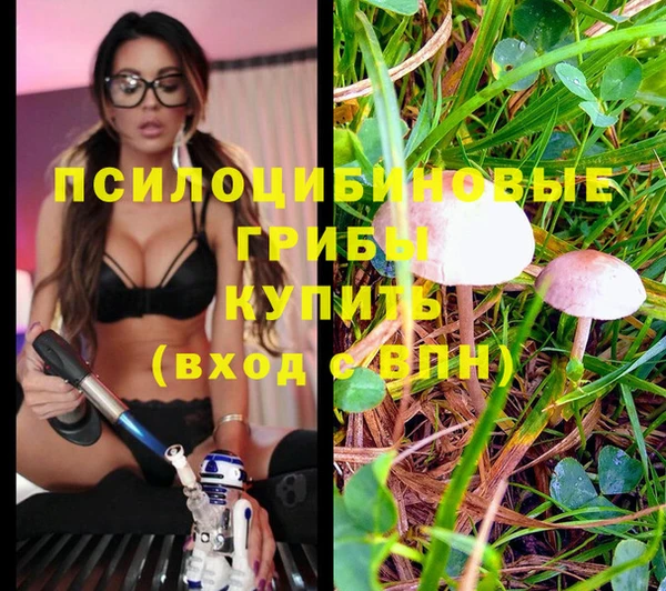 твердый Краснослободск