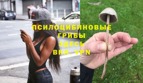 твердый Краснослободск