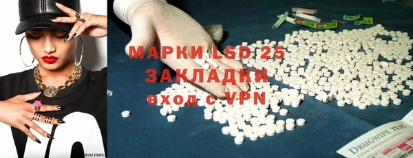 твердый Краснослободск