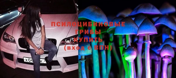 твердый Краснослободск